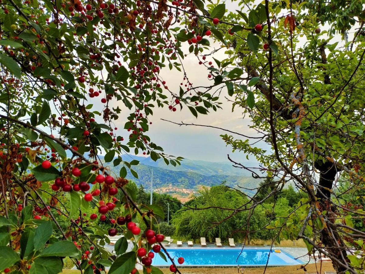Agriturismo Borgo Biaia Camporgiano 외부 사진